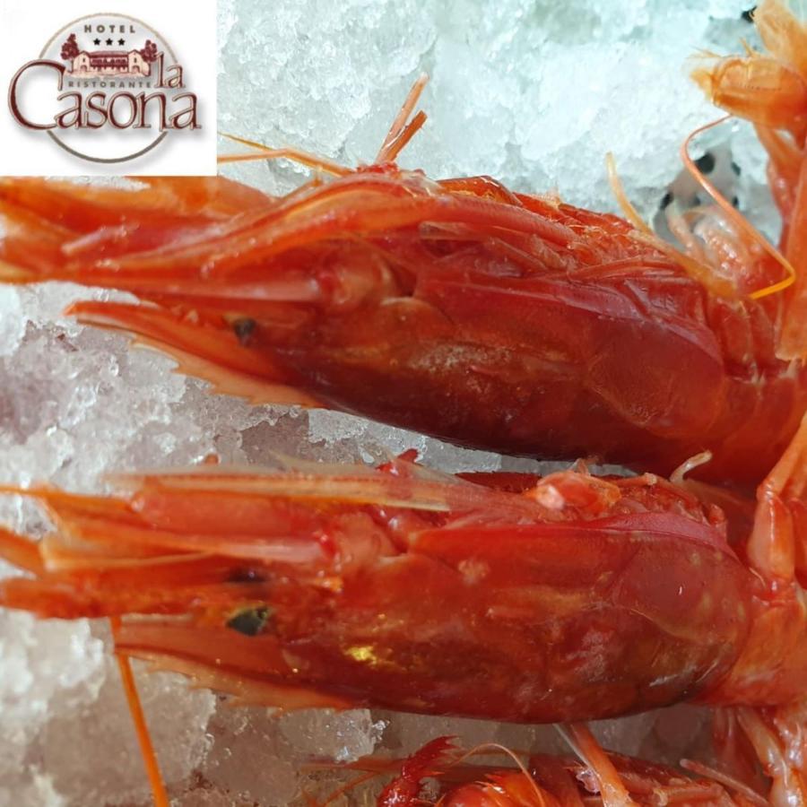 פלטרה Hotel Ristorante La Casona מראה חיצוני תמונה